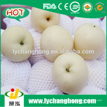 2014 nueva cosecha de peras esmeraldas de China